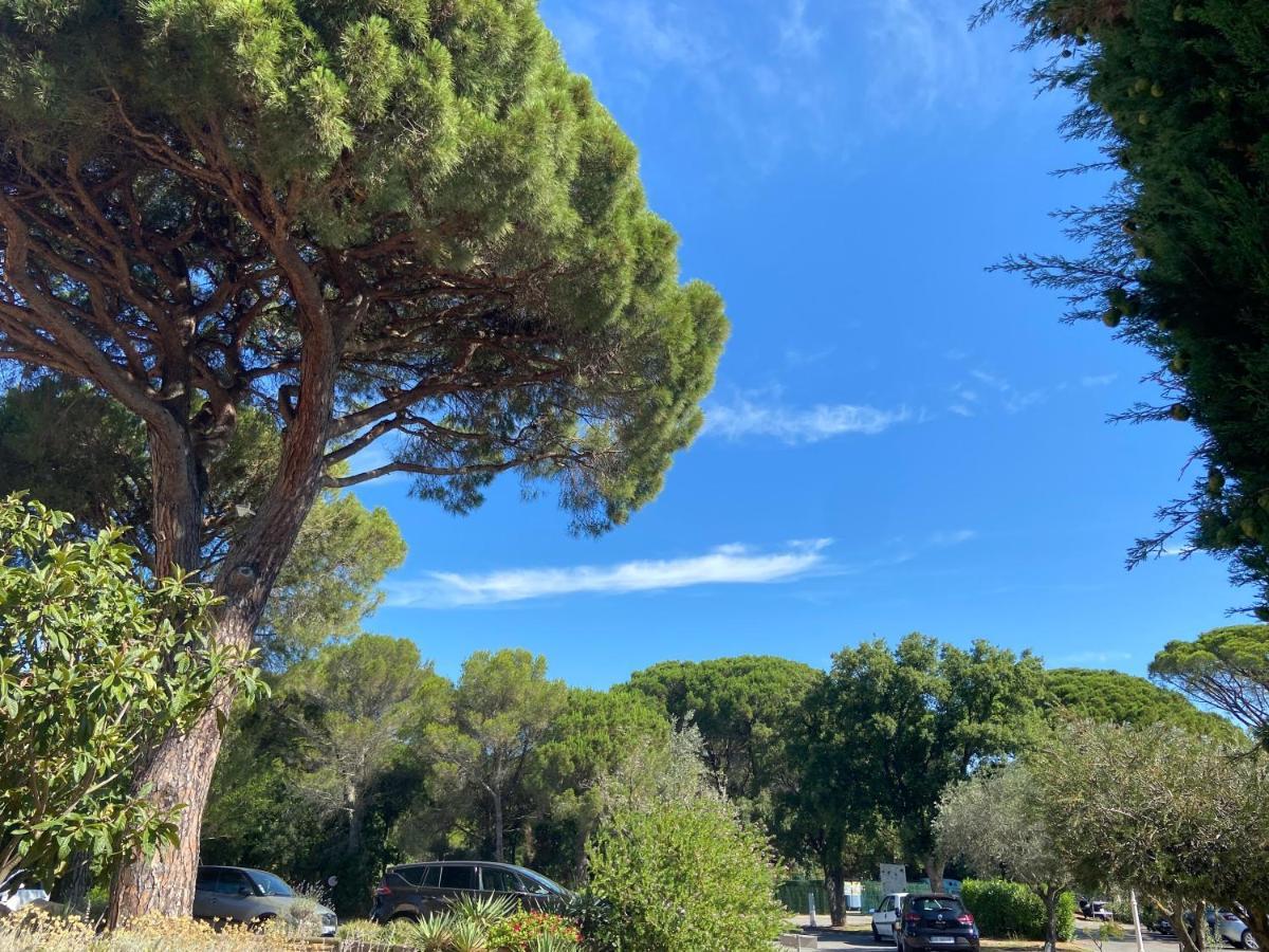 Domaine Valescure Appartement 1 Ou 2 Pieces Vue Jardin Ou Piscine Saint-Raphaël Екстериор снимка